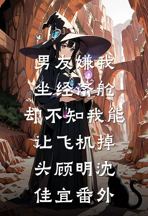 男友嫌我坐经济舱，却不知我能让飞机掉头顾明沈佳宜番外