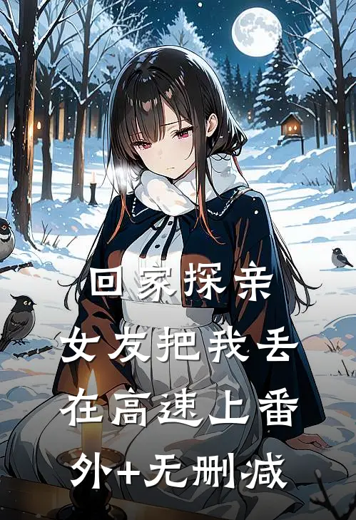 回家探亲，女友把我丢在高速上番外+无删减