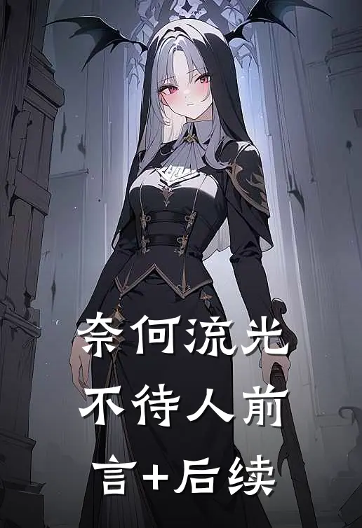 奈何流光不待人前言+后续