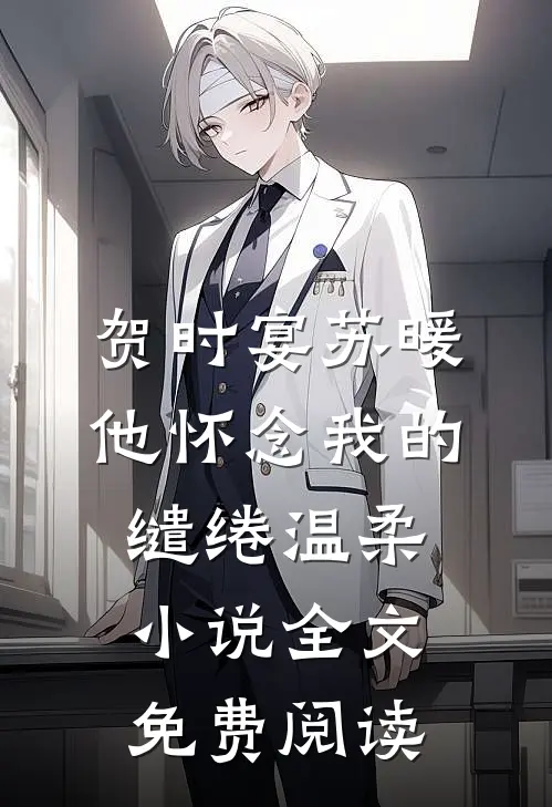 贺时宴苏暖他怀念我的缱绻温柔小说全文免费阅读
