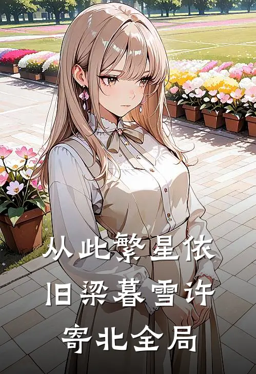 从此繁星依旧梁暮雪许寄北全局