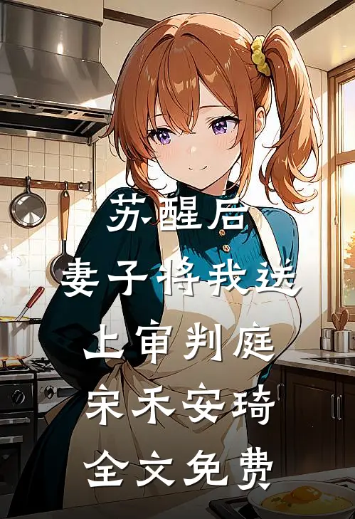 苏醒后，妻子将我送上审判庭宋禾安琦全文免费