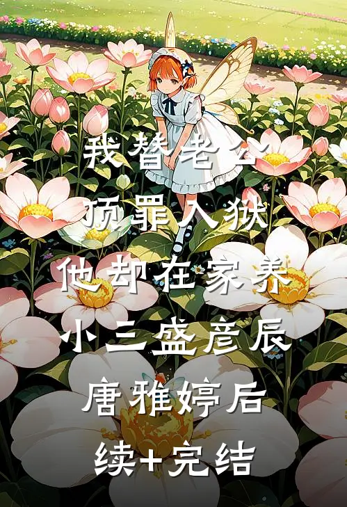 我替老公顶罪入狱，他却在家养小三盛彦辰唐雅婷后续+完结