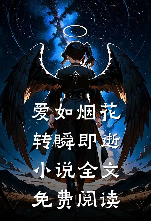 爱如烟花，转瞬即逝小说全文免费阅读