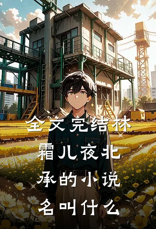 全文完结林霜儿夜北承的小说名叫什么