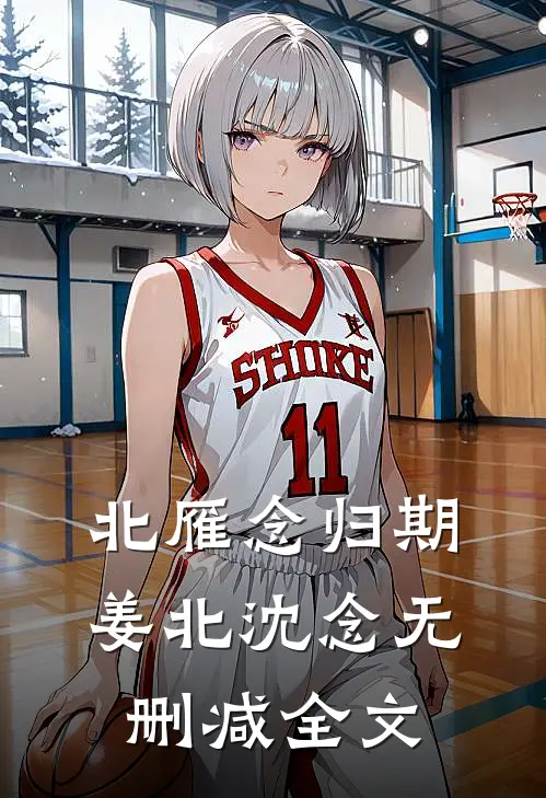 北雁念归期姜北沈念无删减全文