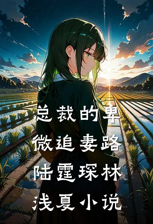 总裁的卑微追妻路陆霆琛林浅夏小说