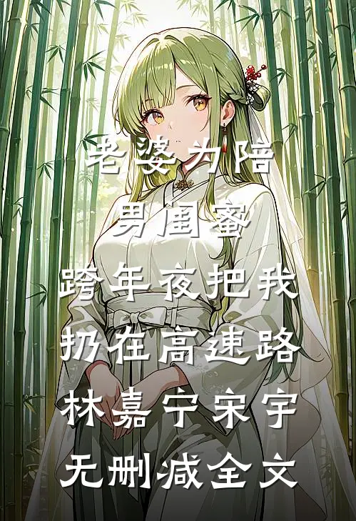 老婆为陪男闺蜜，跨年夜把我扔在高速路林嘉宁宋宇无删减全文