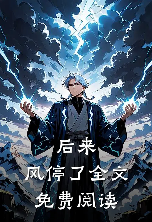 后来，风停了全文免费阅读