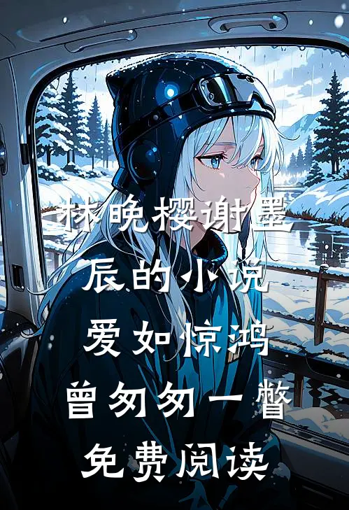 林晚樱谢墨辰的小说爱如惊鸿，曾匆匆一瞥免费阅读
