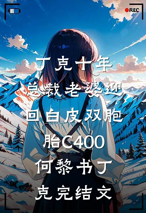 丁克十年，总裁老婆迎回白皮双胞胎C400何黎书丁克完结文