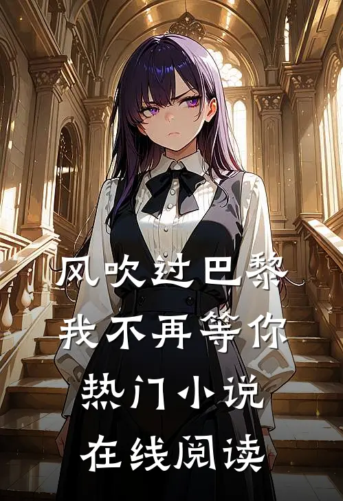 风吹过巴黎，我不再等你热门小说在线阅读