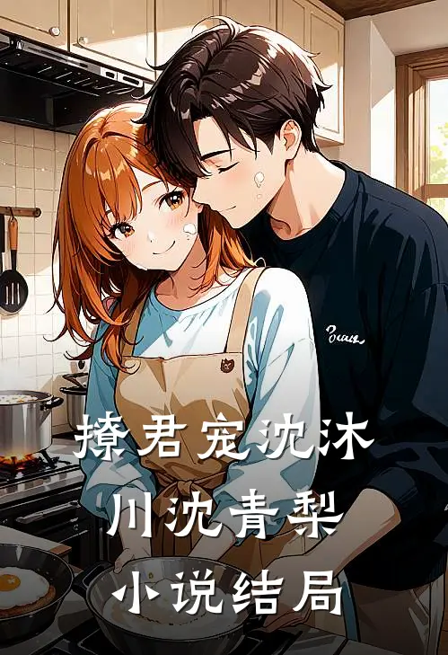 撩君宠沈沐川沈青梨小说结局
