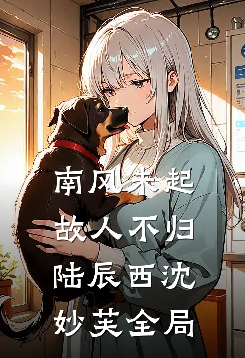 南风未起，故人不归陆辰西沈妙芙全局