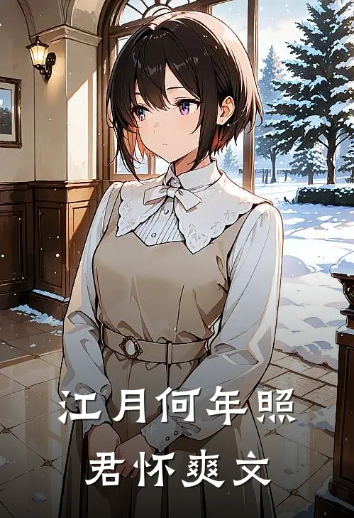江月何年照君怀爽文