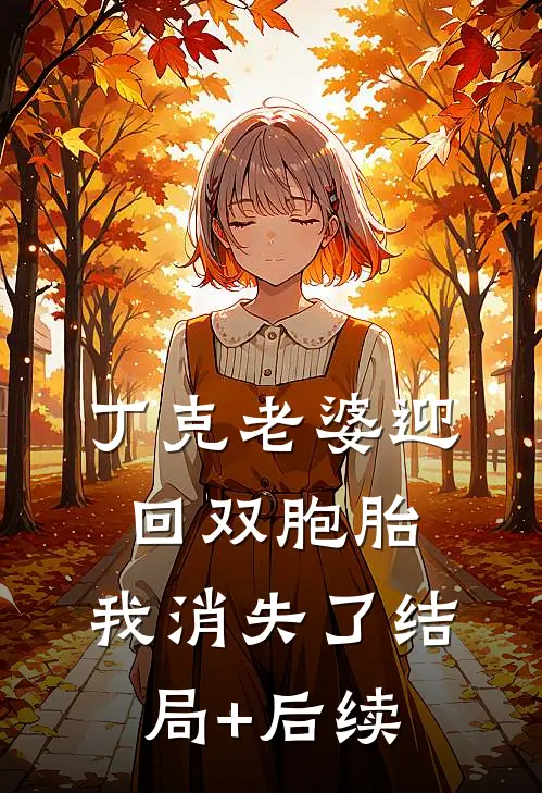 丁克老婆迎回双胞胎，我消失了结局+后续