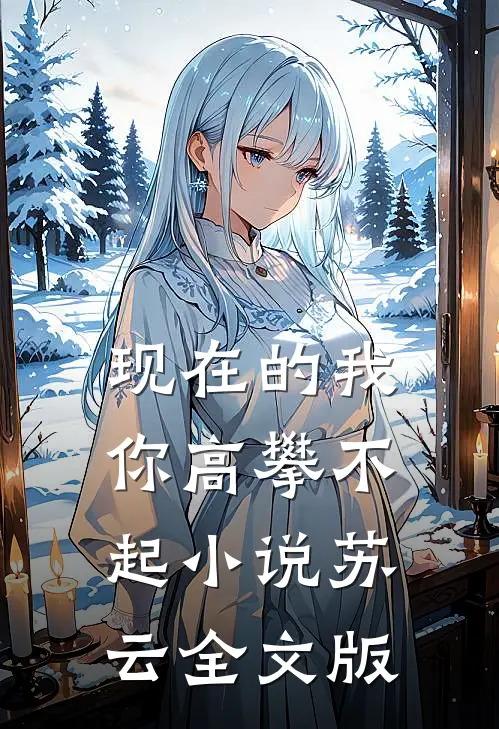 现在的我你高攀不起小说苏云全文版