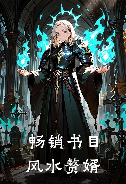 畅销书目风水赘婿