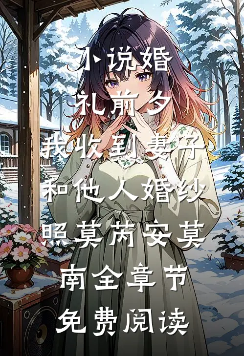 小说婚礼前夕，我收到妻子和他人婚纱照莫芮安莫南全章节免费阅读