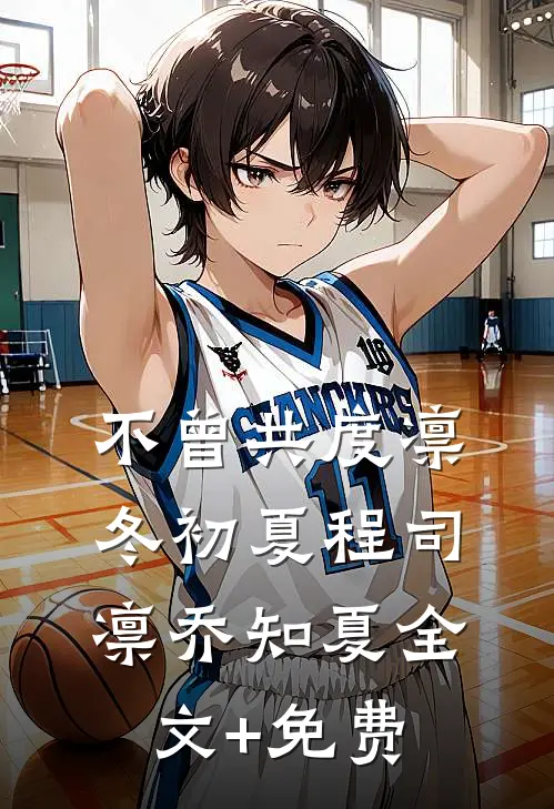 不曾共度凛冬初夏程司凛乔知夏全文+免费