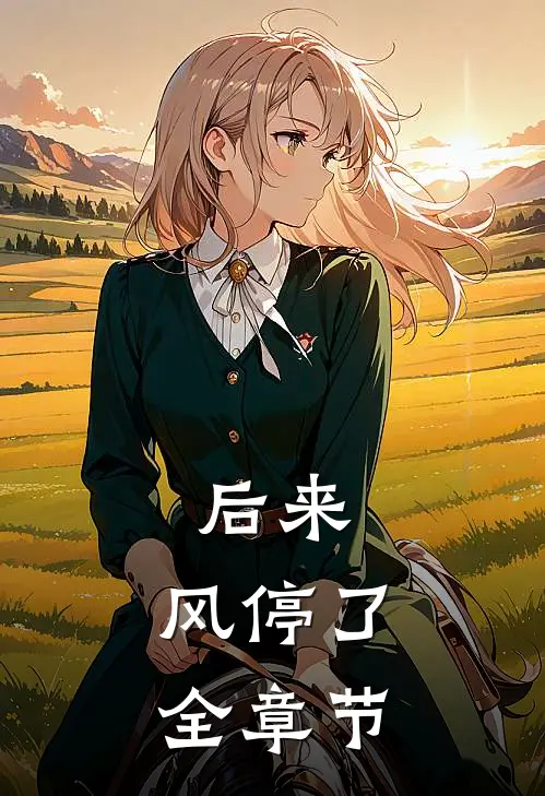 后来，风停了全章节