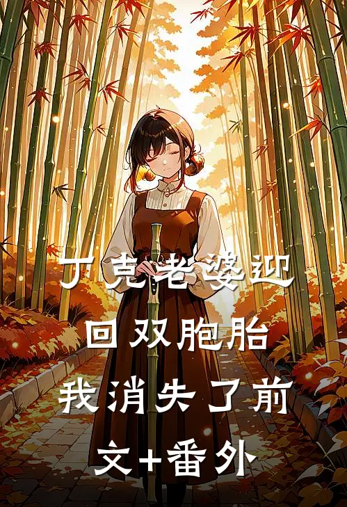 丁克老婆迎回双胞胎，我消失了前文+番外