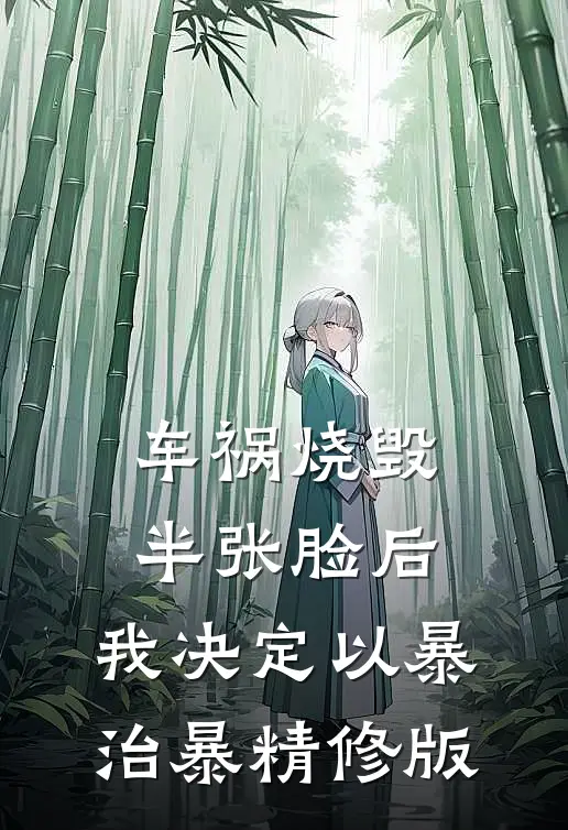 车祸烧毁半张脸后，我决定以暴治暴精修版