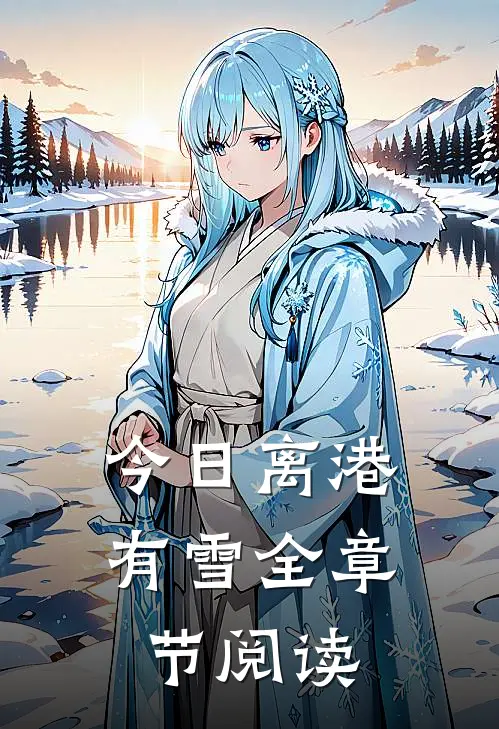今日离港有雪全章节阅读