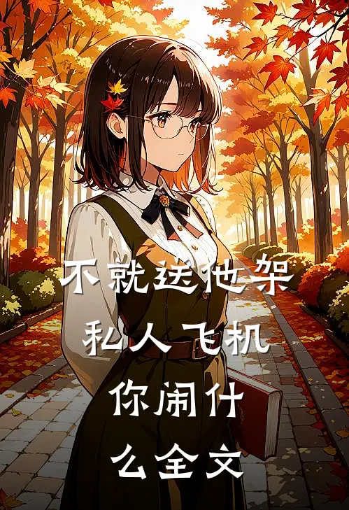 不就送他架私人飞机，你闹什么全文