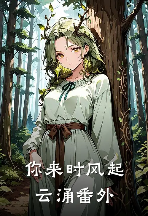 你来时风起云涌番外