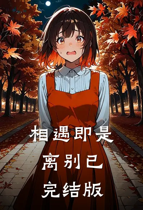 相遇即是离别已完结版