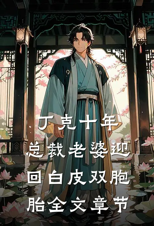 丁克十年，总裁老婆迎回白皮双胞胎全文章节