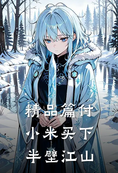 精品篇付小米买下半壁江山