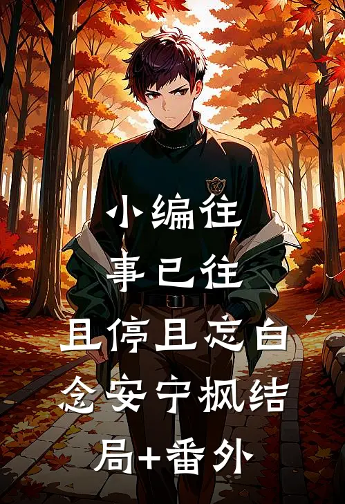 小编往事已往，且停且忘白念安宁枫结局+番外
