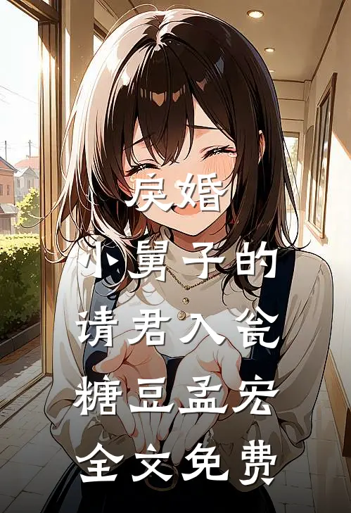戾婚：小舅子的请君入瓮糖豆孟宏全文免费