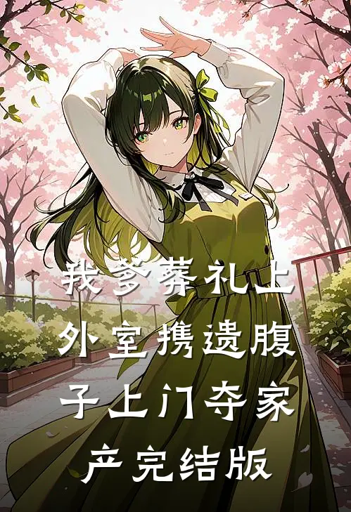 我爹葬礼上，外室携遗腹子上门夺家产完结版