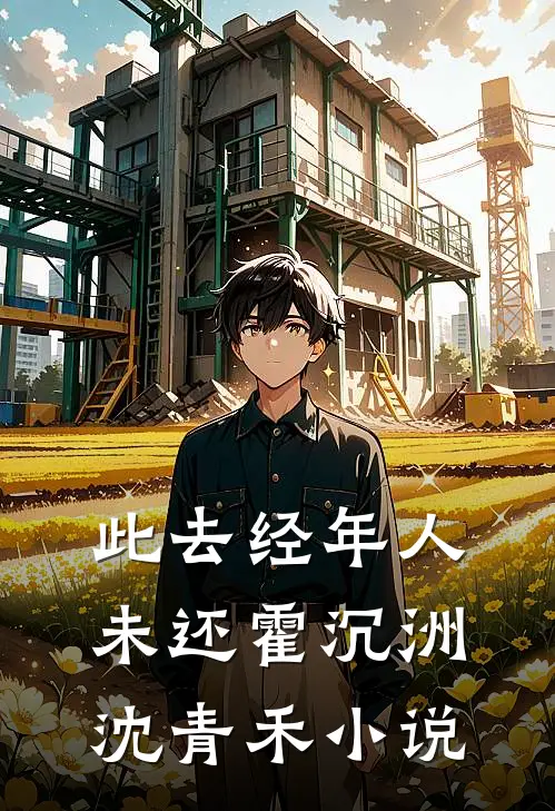 此去经年人未还霍沉洲沈青禾小说