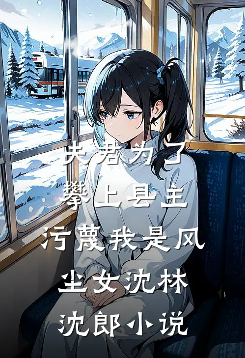 夫君为了攀上县主，污蔑我是风尘女沈林沈郎小说