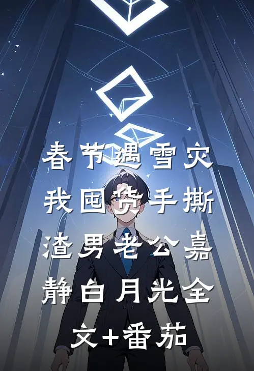 春节遇雪灾，我囤货手撕渣男老公嘉静白月光全文+番茄