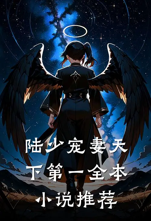 陆少宠妻天下第一全本小说推荐
