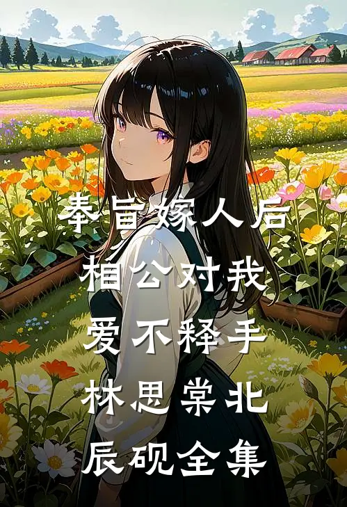 奉旨嫁人后，相公对我爱不释手林思棠北辰砚 全集