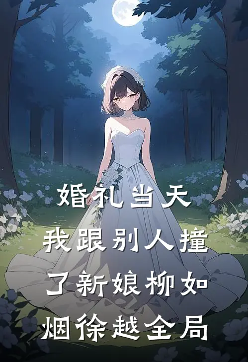 婚礼当天，我跟别人撞了新娘柳如烟徐越全局