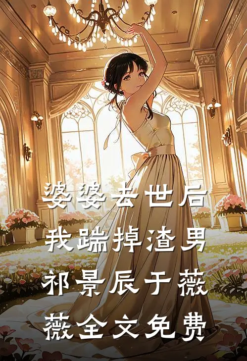 婆婆去世后，我踹掉渣男祁景辰于薇薇全文免费