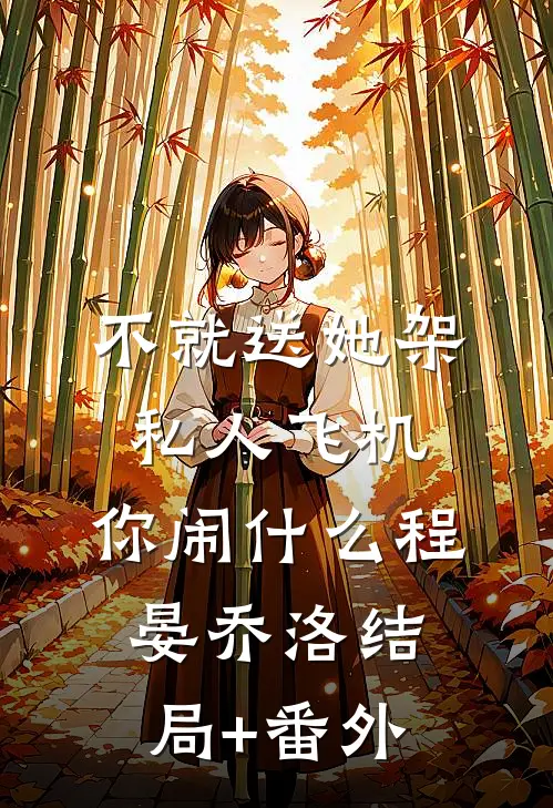 不就送她架私人飞机，你闹什么程晏乔洛结局+番外