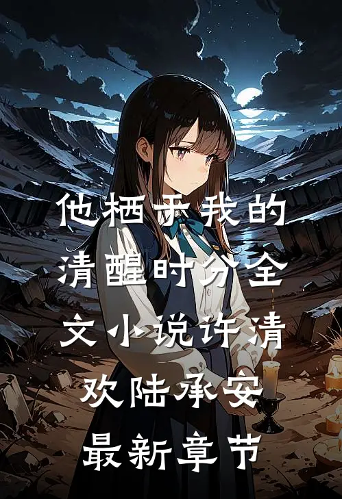 他栖于我的清醒时分全文小说许清欢陆承安最新章节