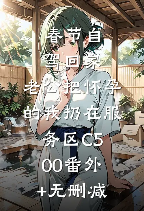 春节自驾回家，老公把怀孕的我扔在服务区C500番外+无删减