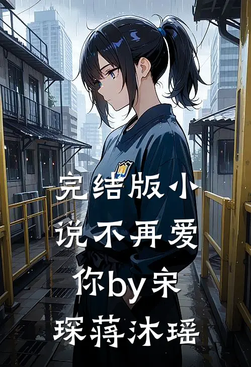 完结版小说不再爱你by宋琛蒋沐瑶