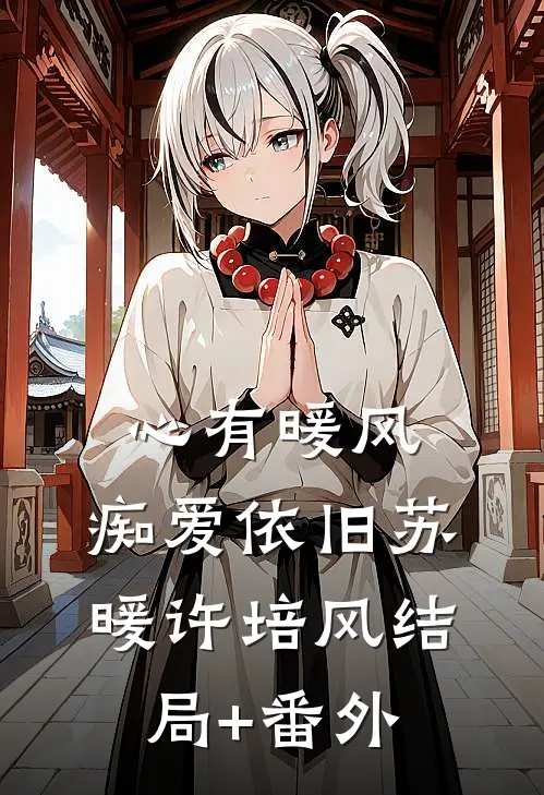 心有暖风，痴爱依旧苏暖许培风结局+番外