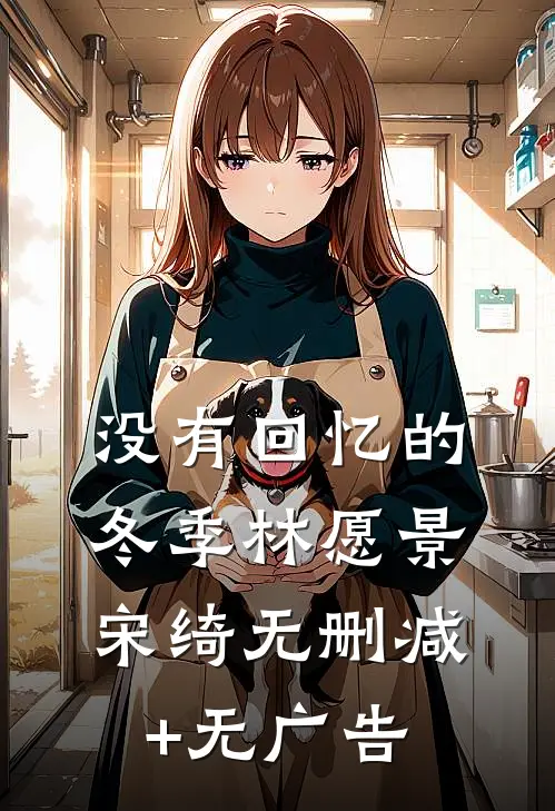 没有回忆的冬季林愿景宋绮无删减+无广告