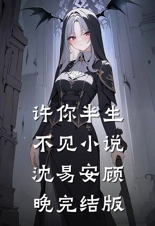 许你半生不见小说沈易安顾晚完结版